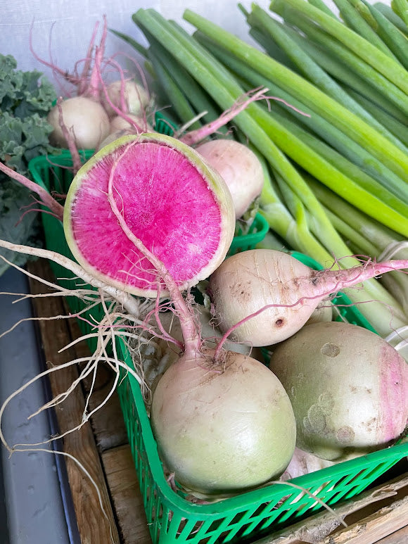 Watermelon Radish