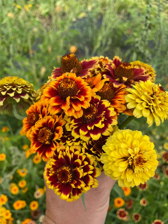 zinnia Persian Carpet