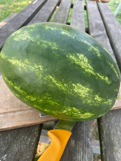 Borrie's Yellow Watermelon