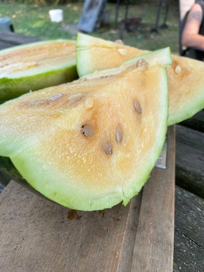 Borrie's Yellow Watermelon