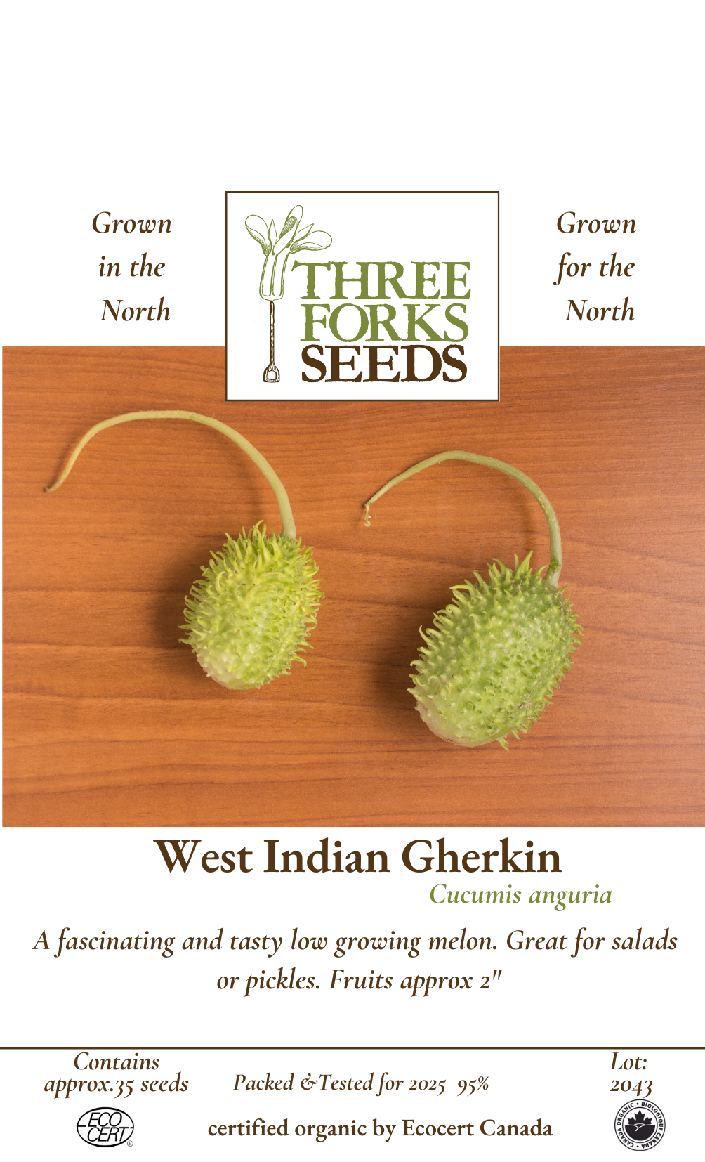 West Indian Gherkin