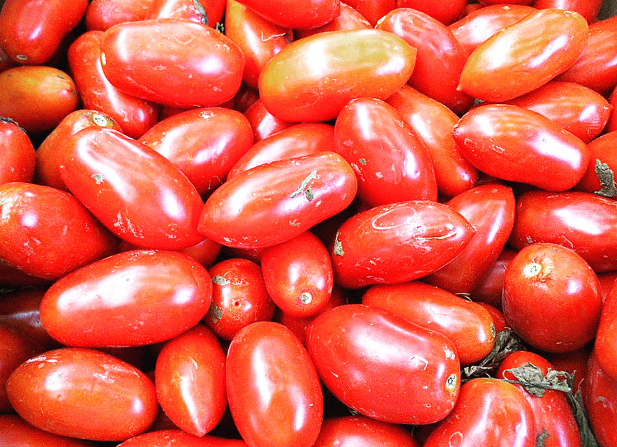 San Marzano Paste Tomato